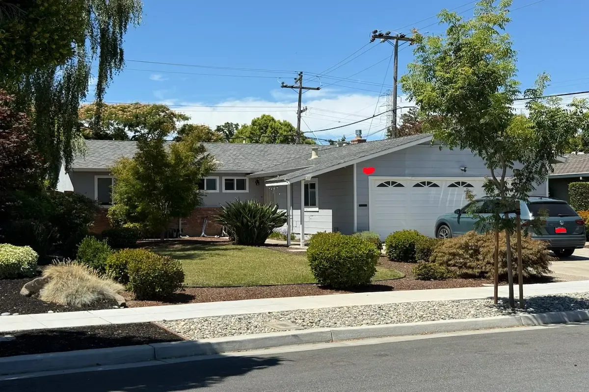 Professional wall painting